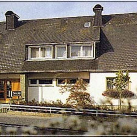 Pension Braun Winterberg Exteriör bild